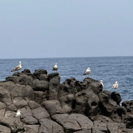 Mar, Vive El Oceano En Primera Linea Hébergement de vacances